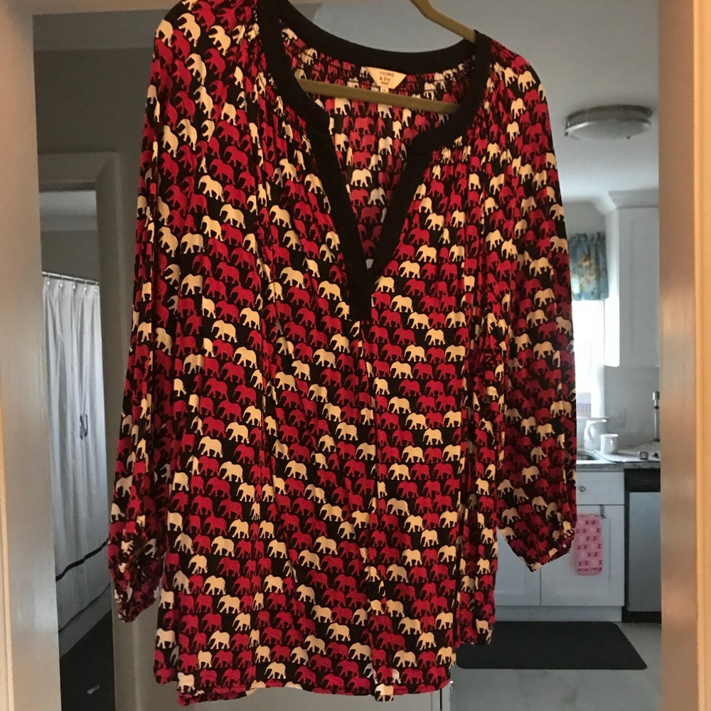 Crown and Ivy shirt